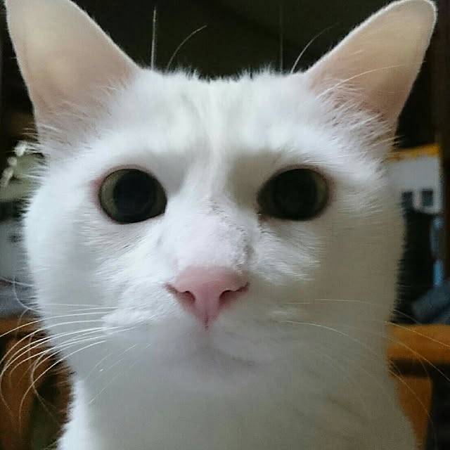 s-kさんの実例写真