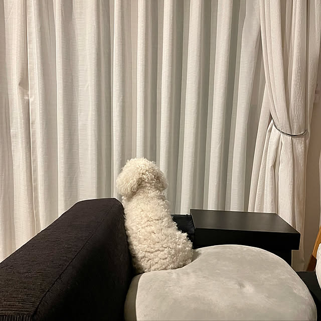 sugarcookieさんの実例写真