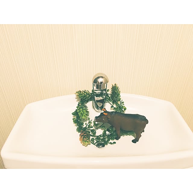 ha___lさんの実例写真