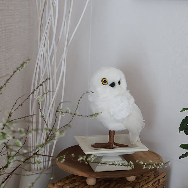 Summerさんの実例写真