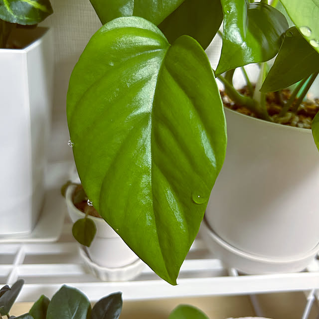 yoyoyoさんの部屋