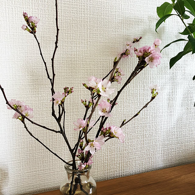 debimamaさんの実例写真