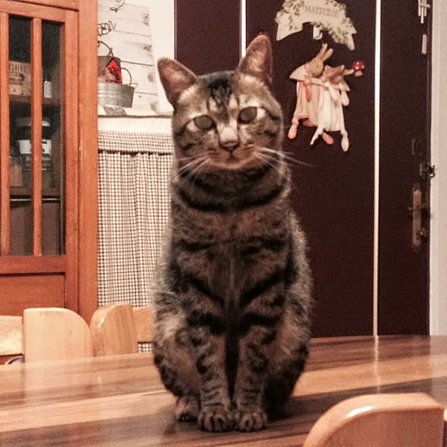 Malinさんの実例写真
