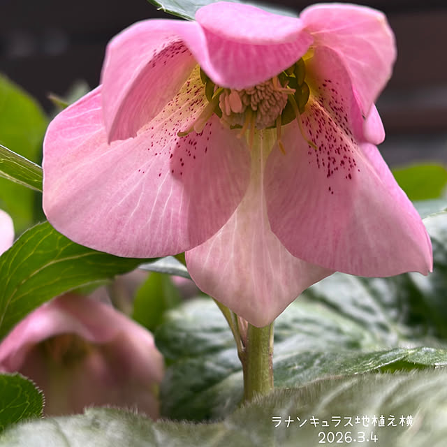 buchiさんの部屋