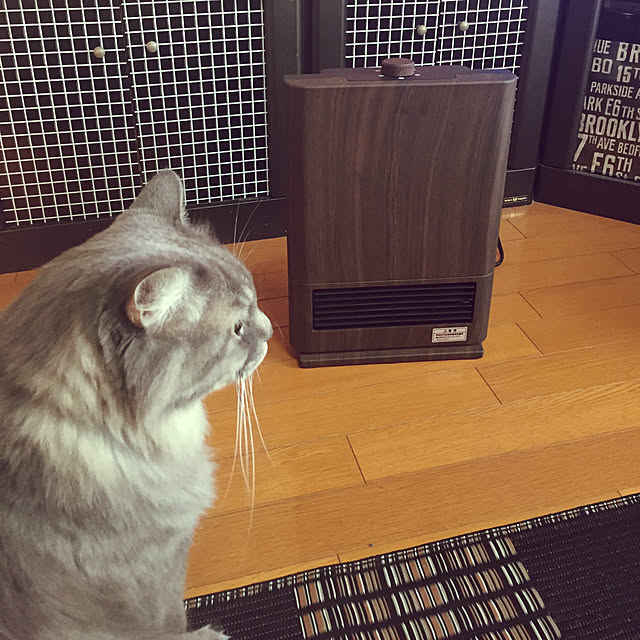 naworinさんの実例写真