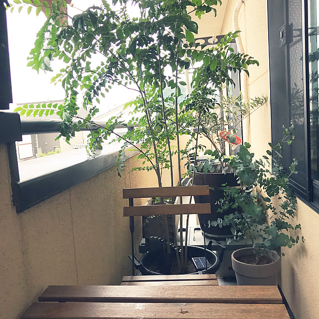 demeさんの実例写真