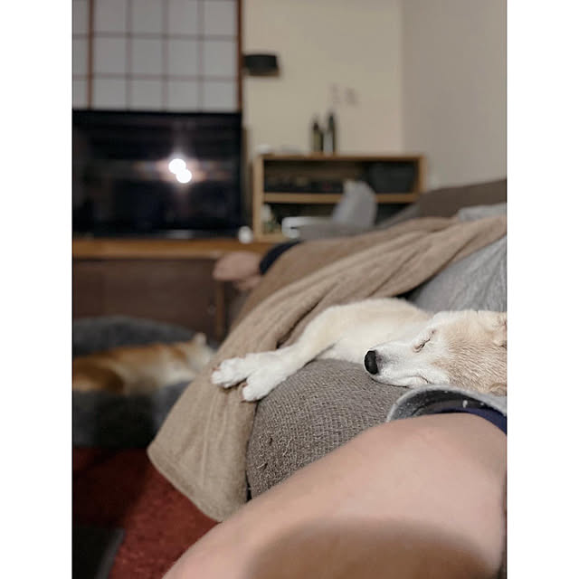 mionakiseさんの実例写真