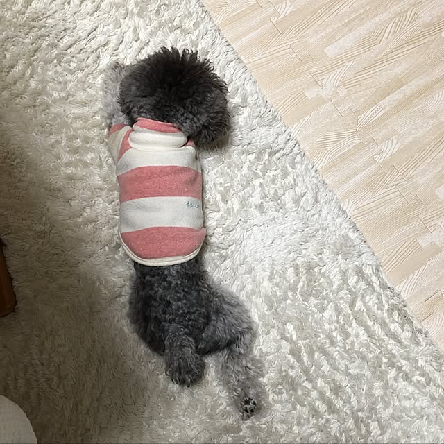 chocomamaさんの実例写真