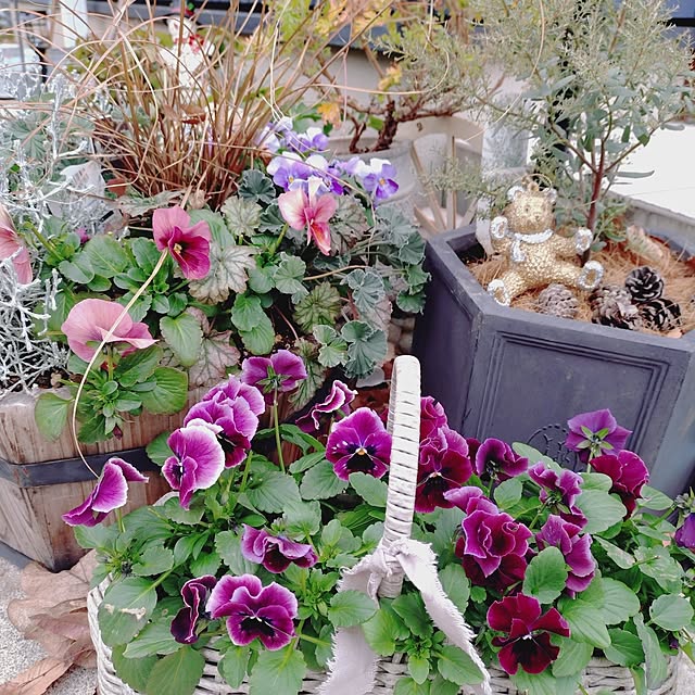 Motoziさんの部屋