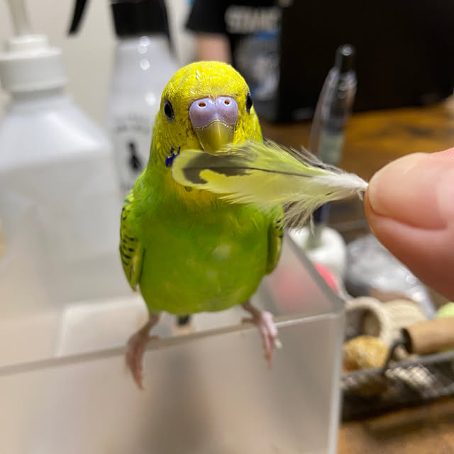 ohanaさんの実例写真