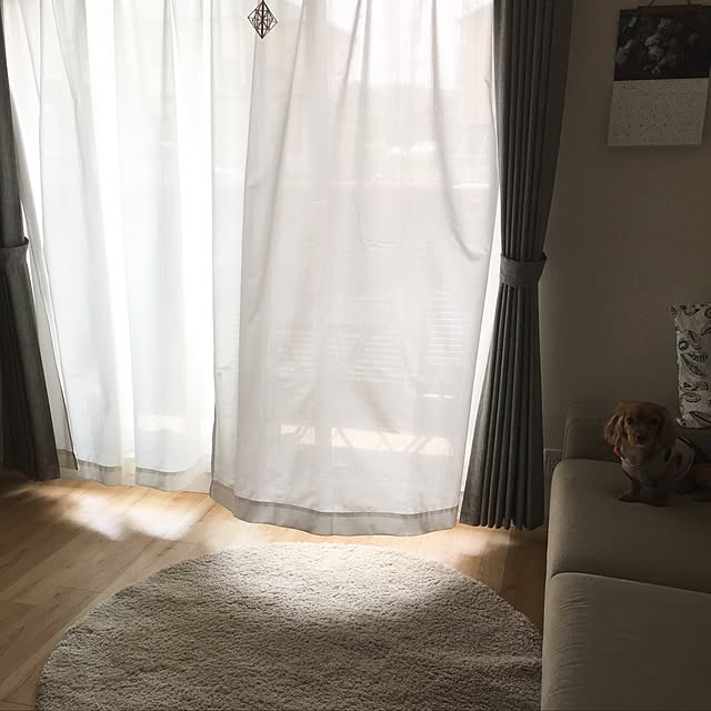 soratanさんの実例写真