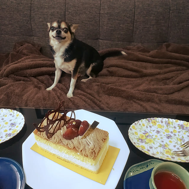 kirariさんの実例写真