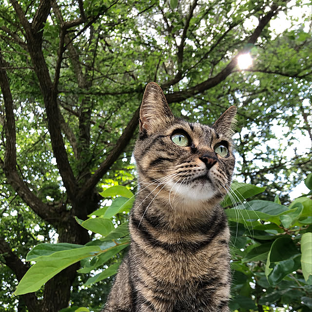 weさんの実例写真