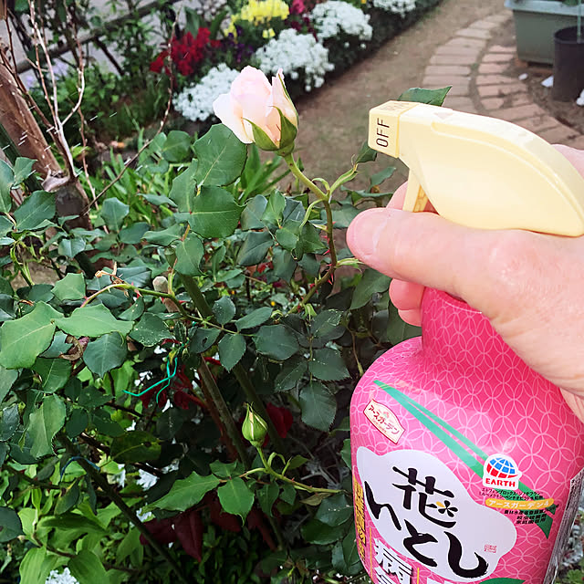 KYONさんの実例写真