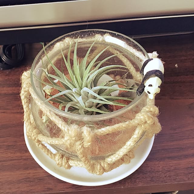 _____MK___さんの実例写真