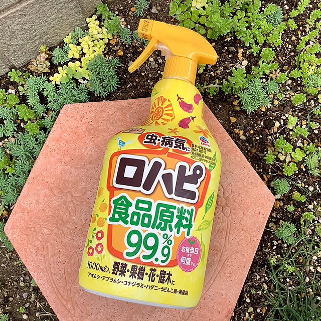 haruminさんの部屋