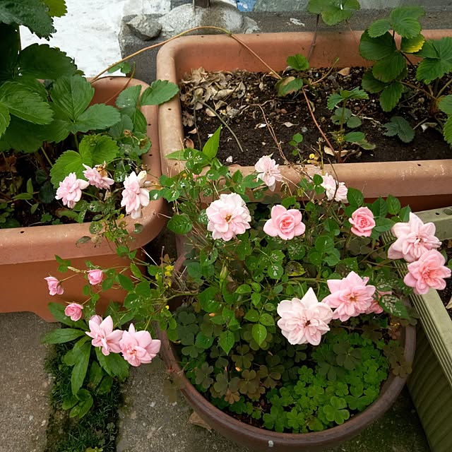akichanさんの部屋