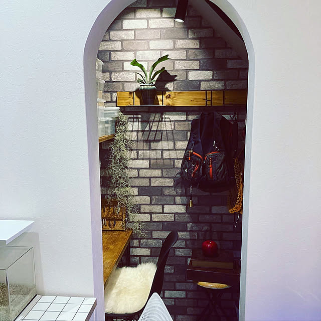 aquarist_tkさんの実例写真