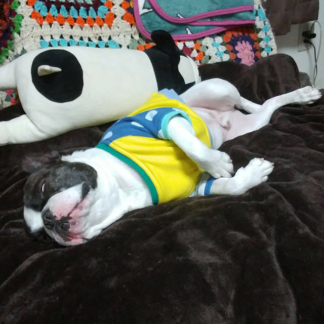 sidkerorin67さんの実例写真