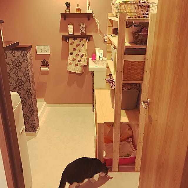 miruさんの実例写真