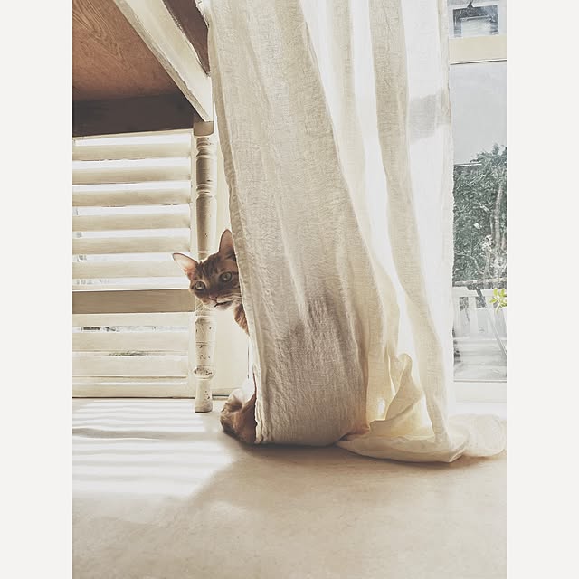 ataさんの実例写真