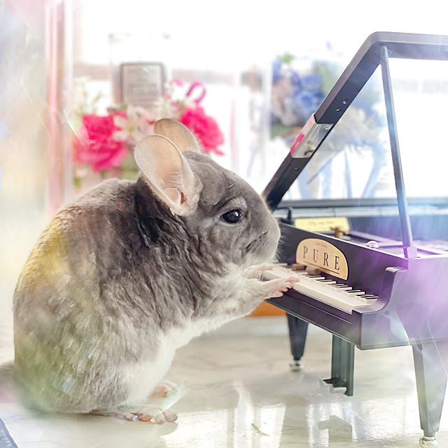 haruさんの実例写真