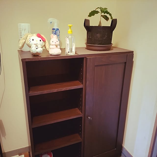 Miyoさんの実例写真