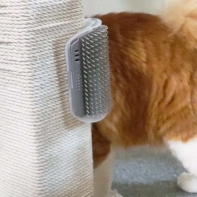 mori_6_12さんの実例写真