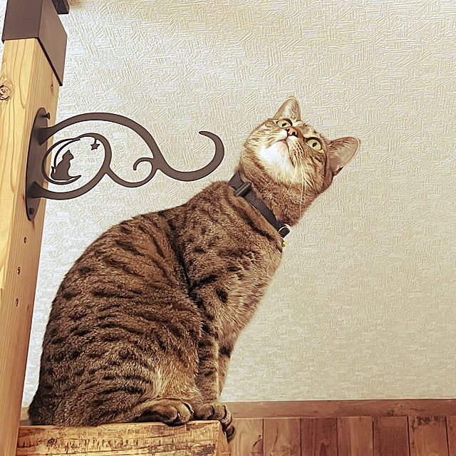 Mさんの部屋