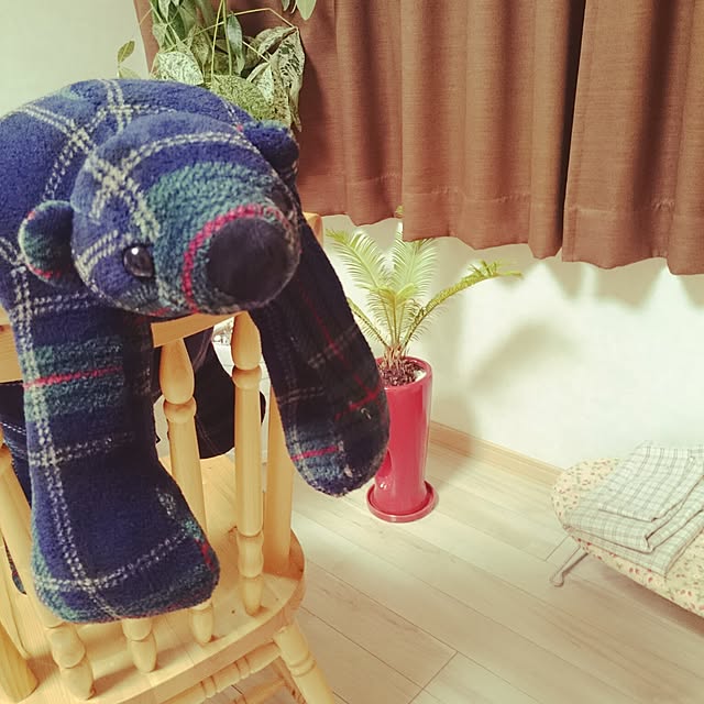 midoさんの実例写真