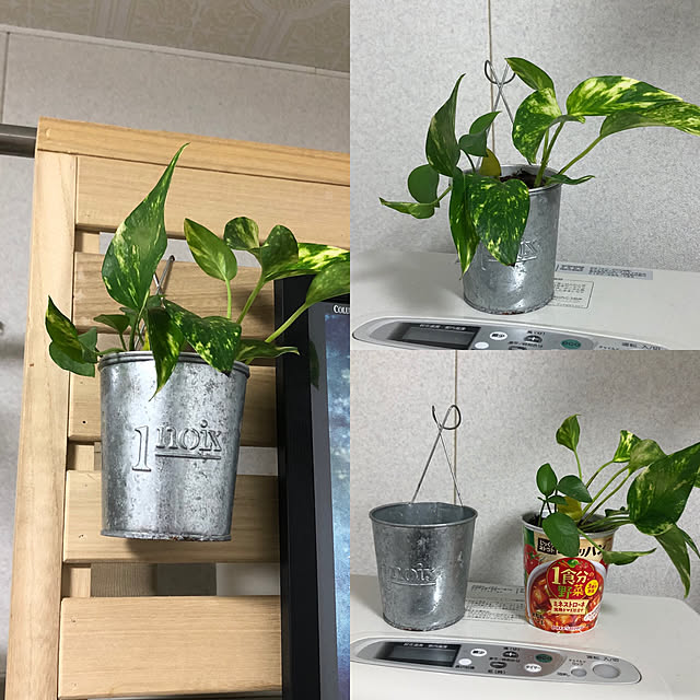 chobihigeさんの実例写真