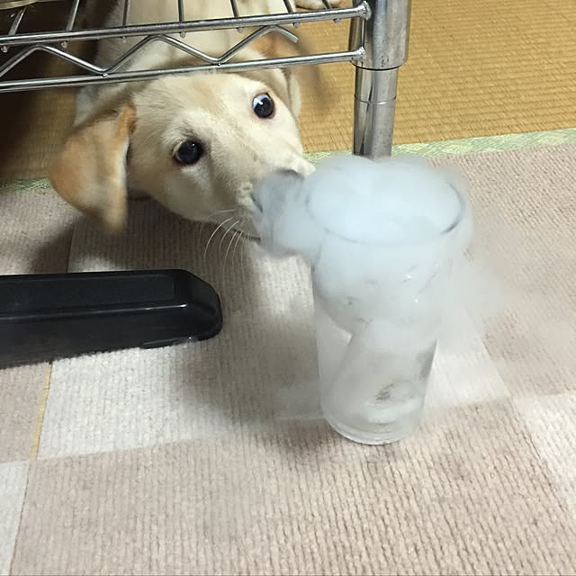 mtkさんの実例写真