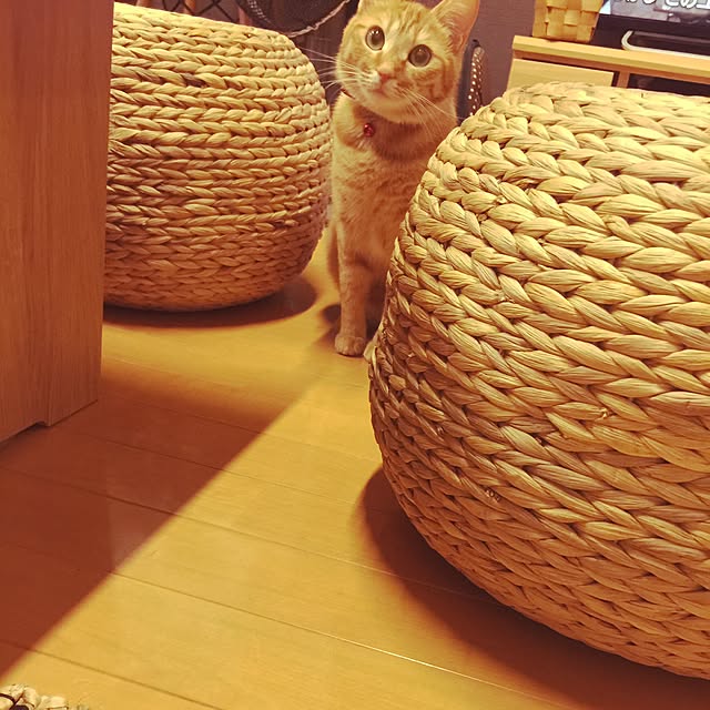 hanaさんの実例写真