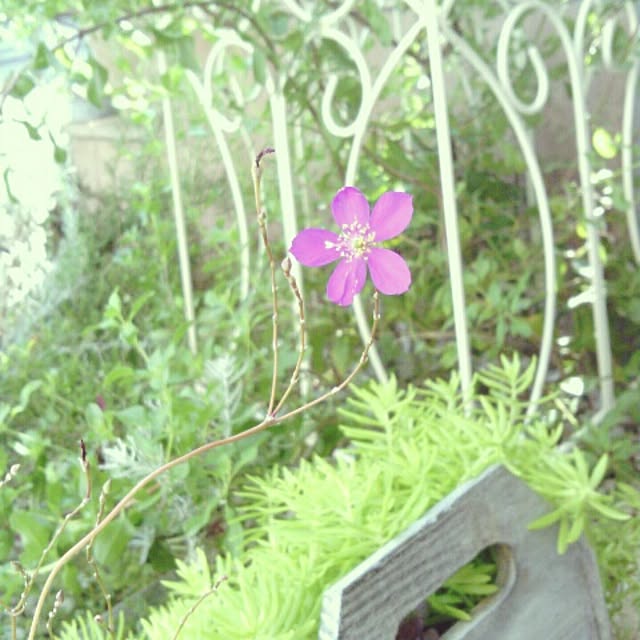 akr29さんの実例写真