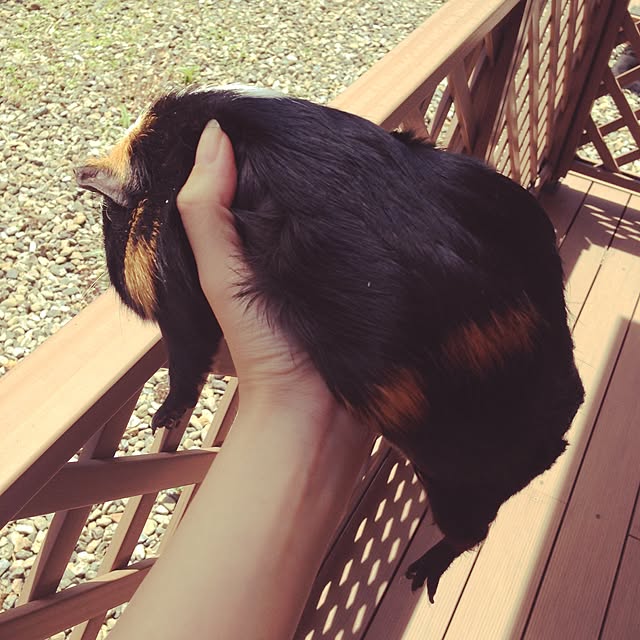 Mi-Koさんの実例写真