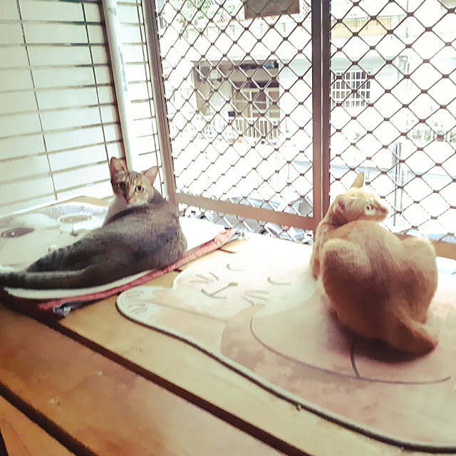 CinqinTWさんの実例写真