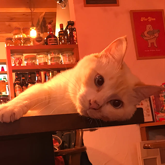 sakurasakuさんの実例写真