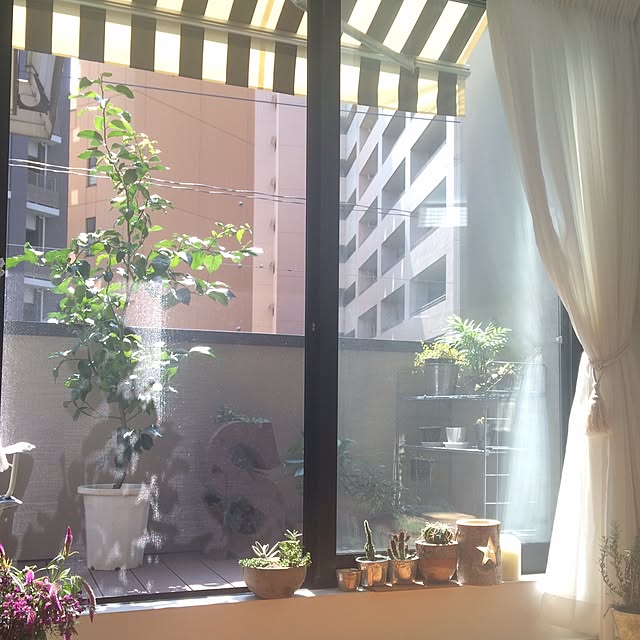 m.kさんの実例写真