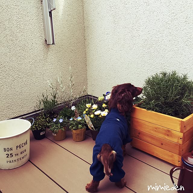 mimiedenさんの実例写真