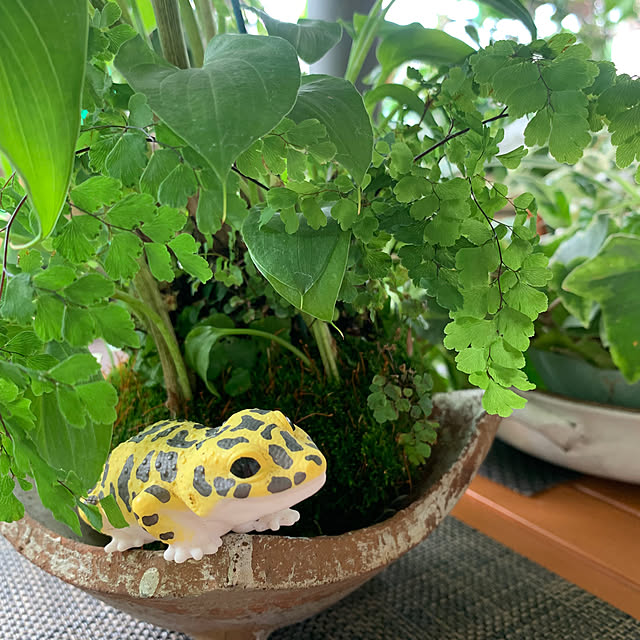 Aqettyさんの実例写真