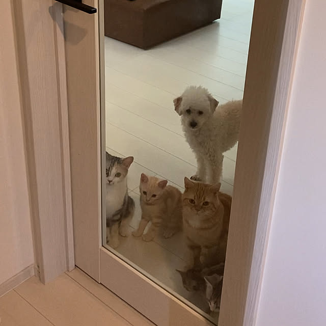 mikkumikuさんの実例写真