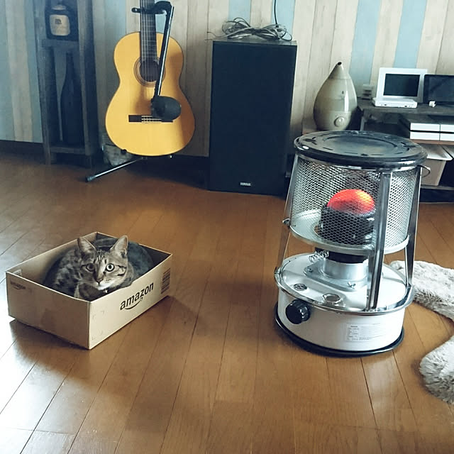 meguさんの実例写真