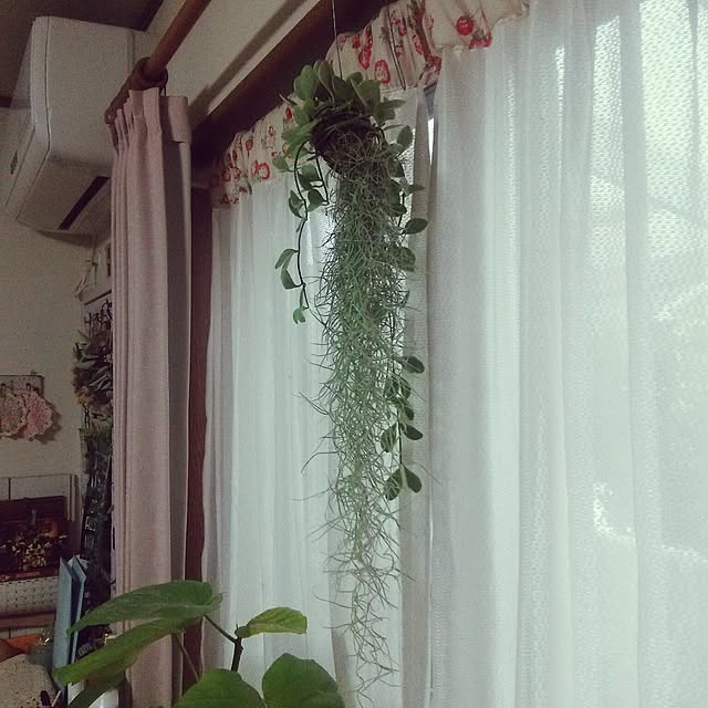 sawamiさんの実例写真