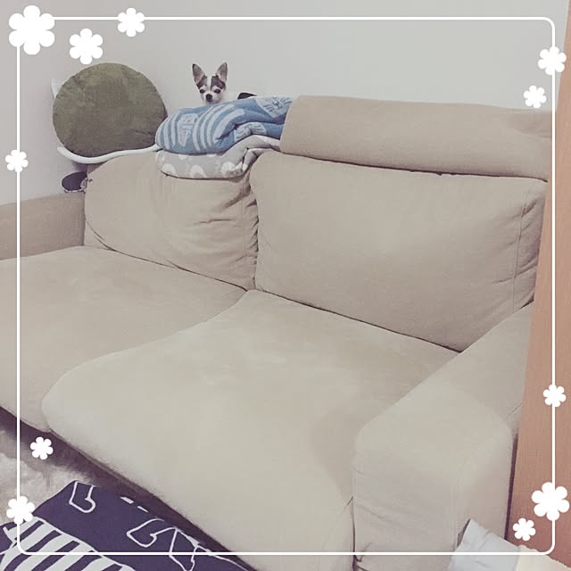 Emiさんの実例写真