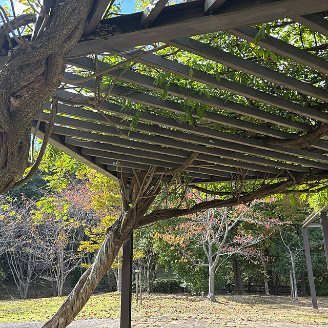 naokoさんの部屋