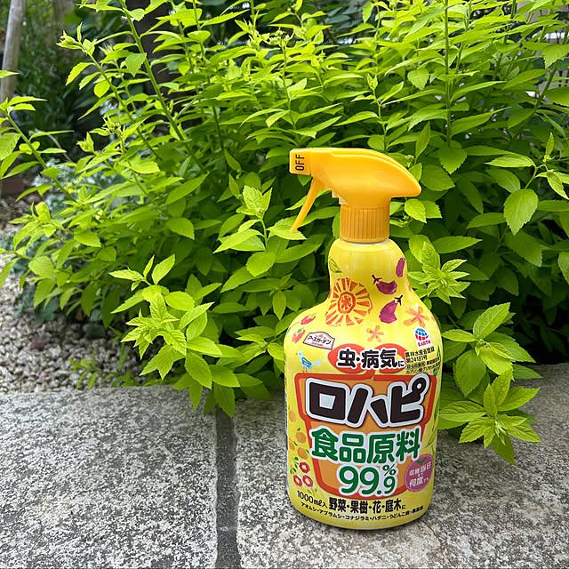 komakiさんの実例写真