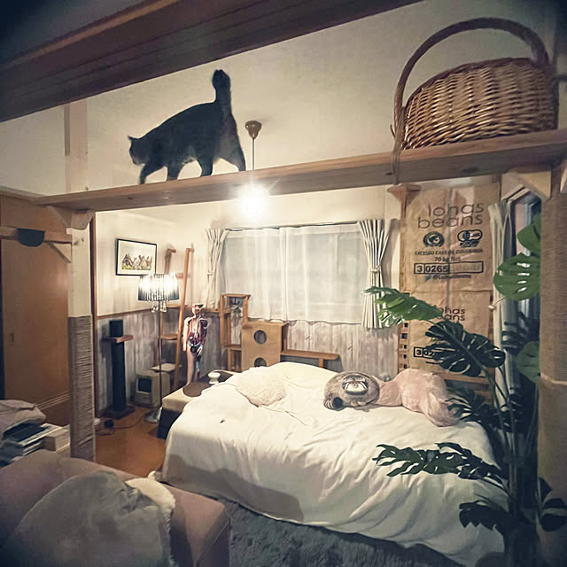 Mさんの部屋