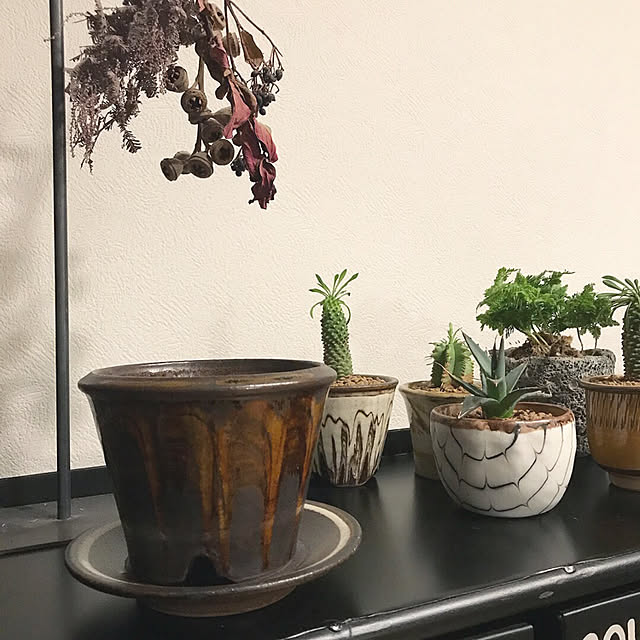 coloriさんの実例写真