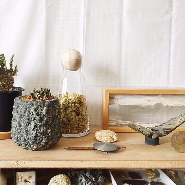 棚/DIY/一人暮らし/観葉植物/多肉植物のインテリア実例 - 2016-09-09 15:22:06