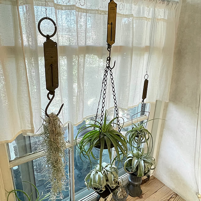 mamisazさんの部屋